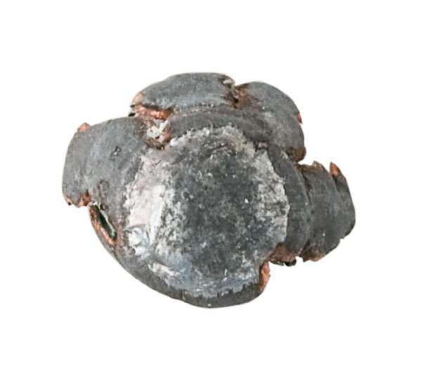 Recovered Bullet