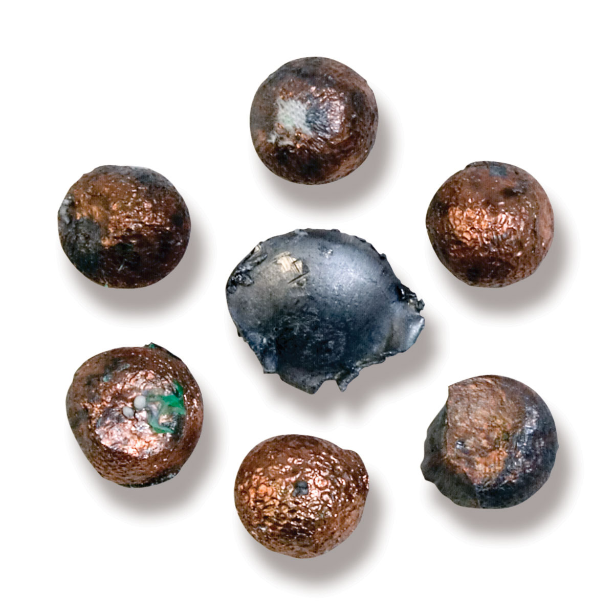 Recoverd Bullets Law Enforcement - Federal Premium LE, Speer LE, BLACKHAWK!, Eagle ...