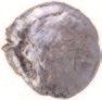 Recovered Bullet
